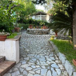 Residence Saturno